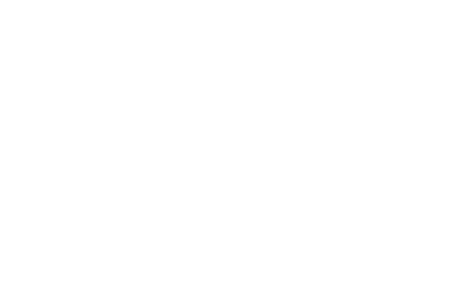 The Gourmet Junction
